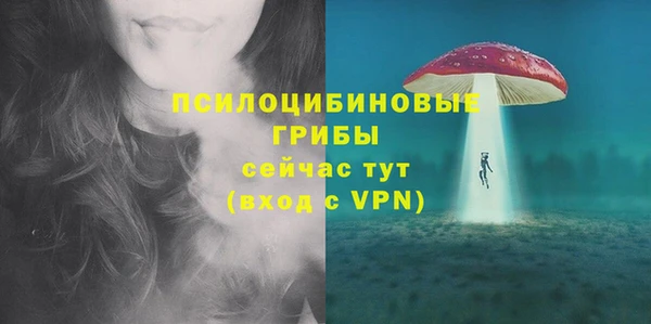 экстази Арсеньев