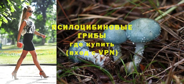 соль ск Нефтегорск