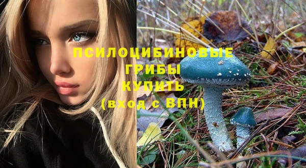 соль курить ск Наволоки