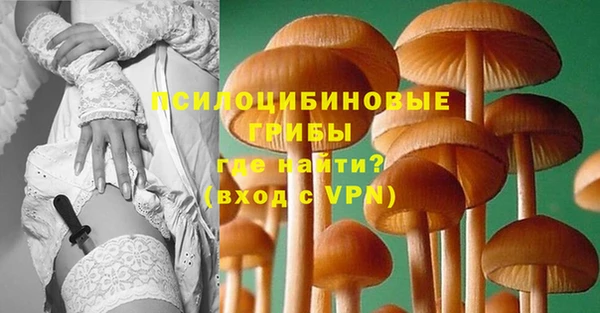 ешки Нея