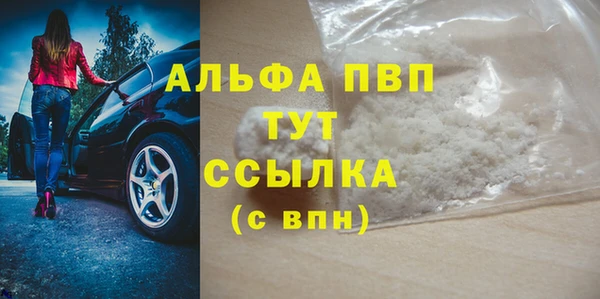 PSILOCYBIN Новодвинск