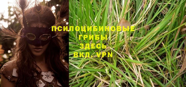 соль ск Нефтегорск