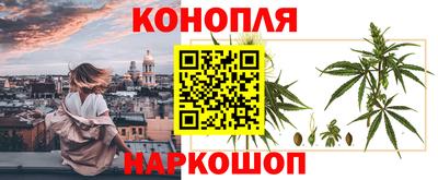 стаф Волжск