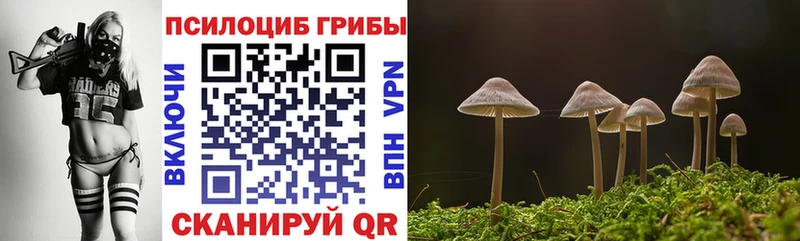 наркошоп  KRAKEN маркетплейс  Псилоцибиновые грибы Psilocybine cubensis  Муравленко 
