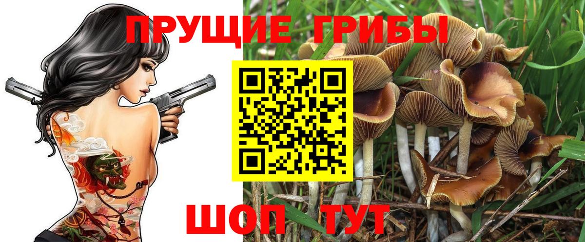 Псилоцибиновые грибы MAGIC MUSHROOMS  Муравленко 