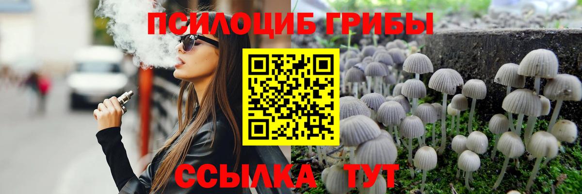 Псилоцибиновые грибы Cubensis Муравленко